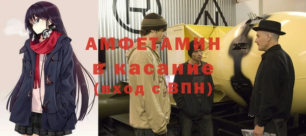 индика Магас