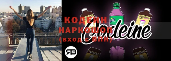 индика Магас