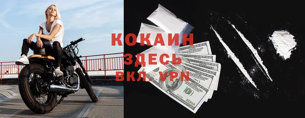 индика Магас