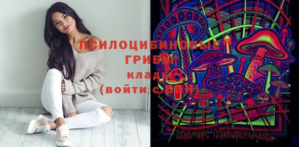 индика Магас