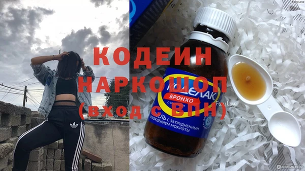 индика Магас
