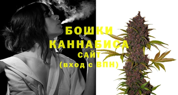 индика Магас