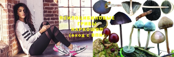 индика Магас