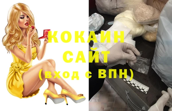 сатива Ивангород