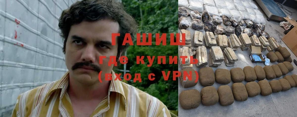 индика Магас