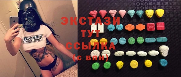 индика Магас