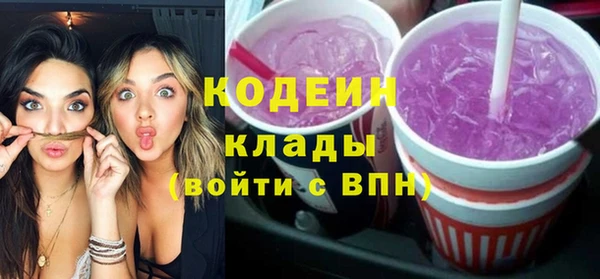 индика Магас